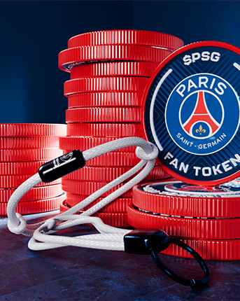 PSG Goal Net collectible